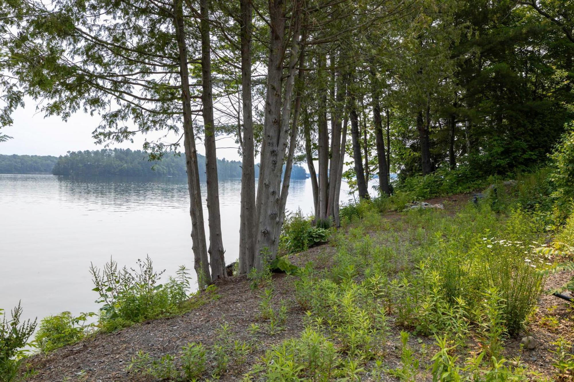 Mactier Tranquil Shores المظهر الخارجي الصورة